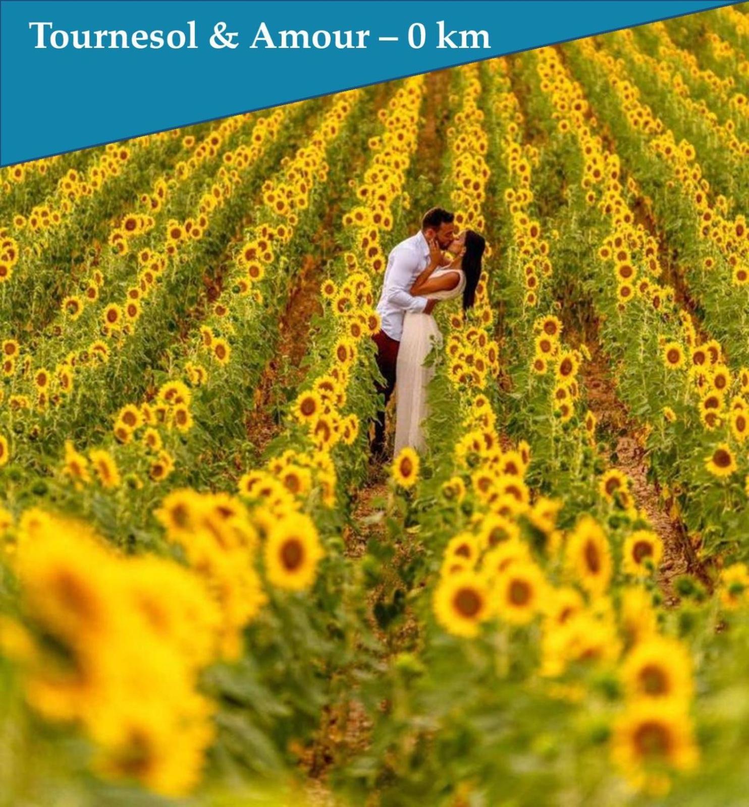 Pyramidhome By Les Bastidons De L'Isle Ngoại thất bức ảnh